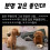 분명 같은 종인데