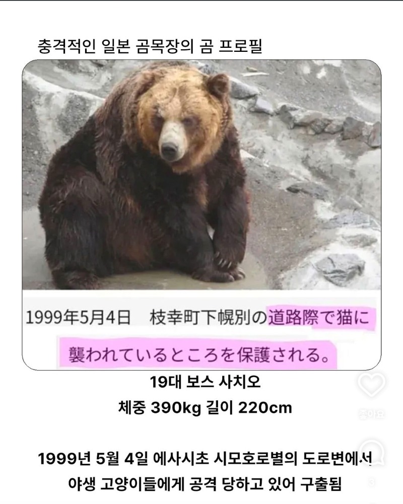 tojino_free_20260520_12_96968.jpg