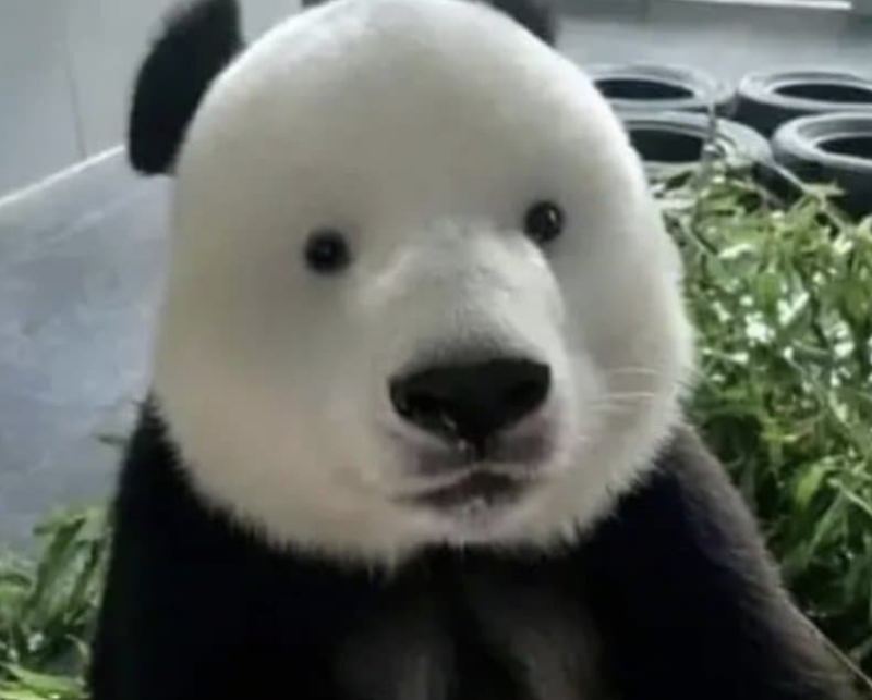 tojino_free_20260525_25_97192_02.png