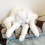 망한 고양이 사진 대회
