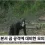 멕시코 감독 이강인 걷어차고 싶다 마음에 안 든다