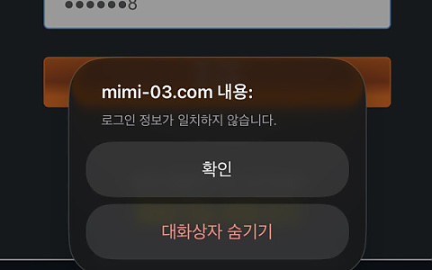 미미 MIMI 미미 MIMI, 297만원 환전 구간에서 연락이 끊긴 신고