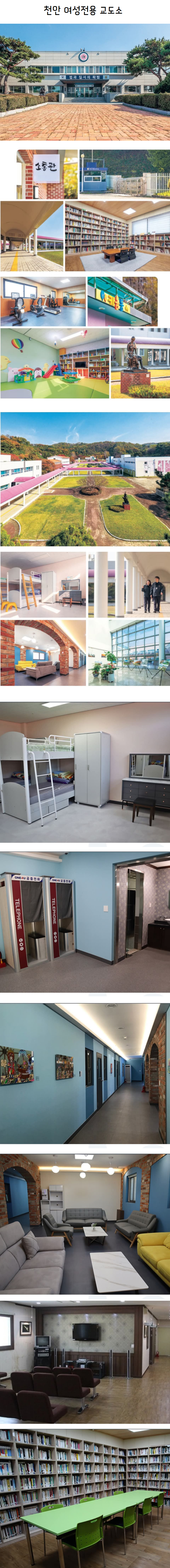 tojino_free_20260601_24_02.png