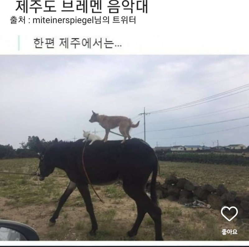 tojino_free_20260605_817_01.jpg