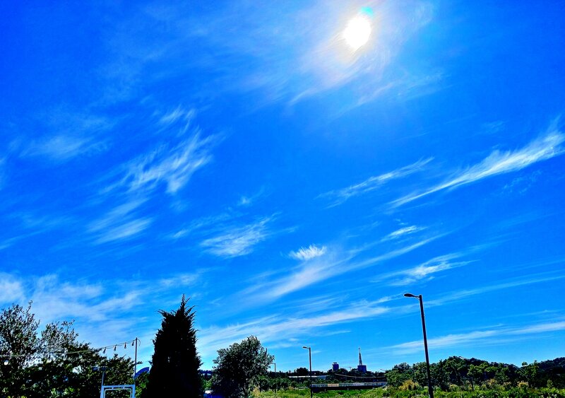 tojino_free_20260607_869_02.jpg
