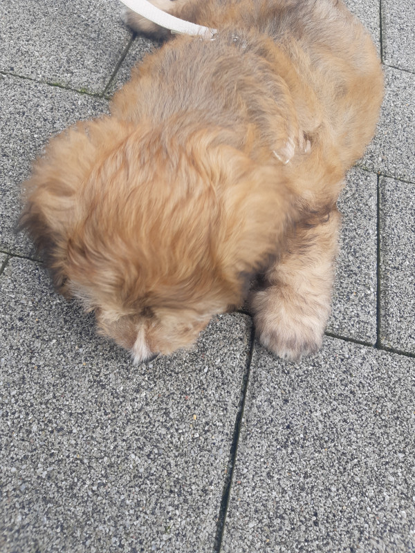 tojino_free_20260609_945_01.jpg