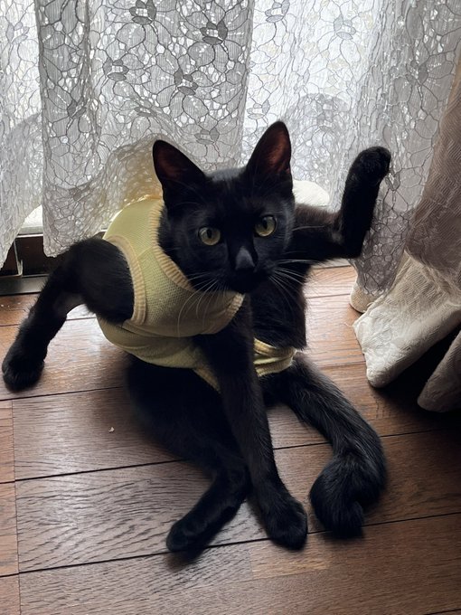 tojino_free_20260613_1019_11.jpg