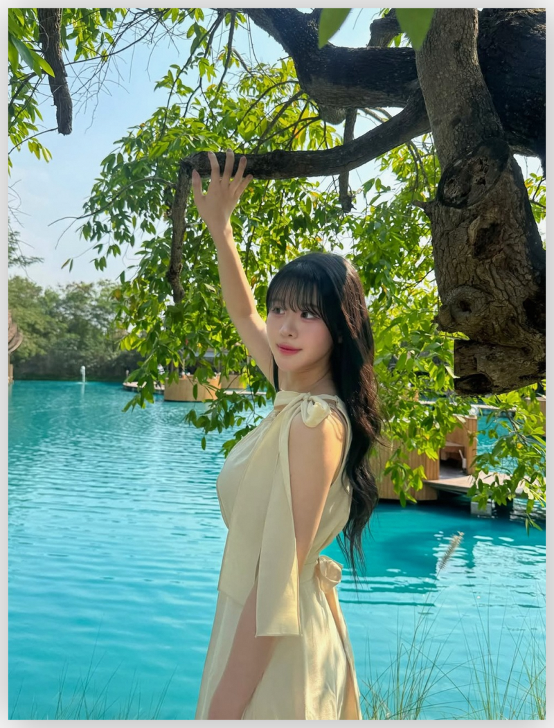 tojino_free_20260629_1308_05.png