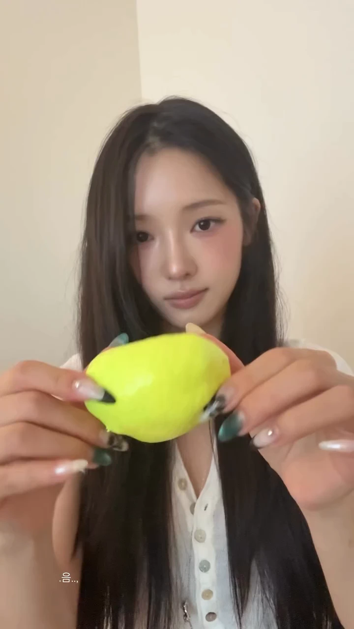 노지선