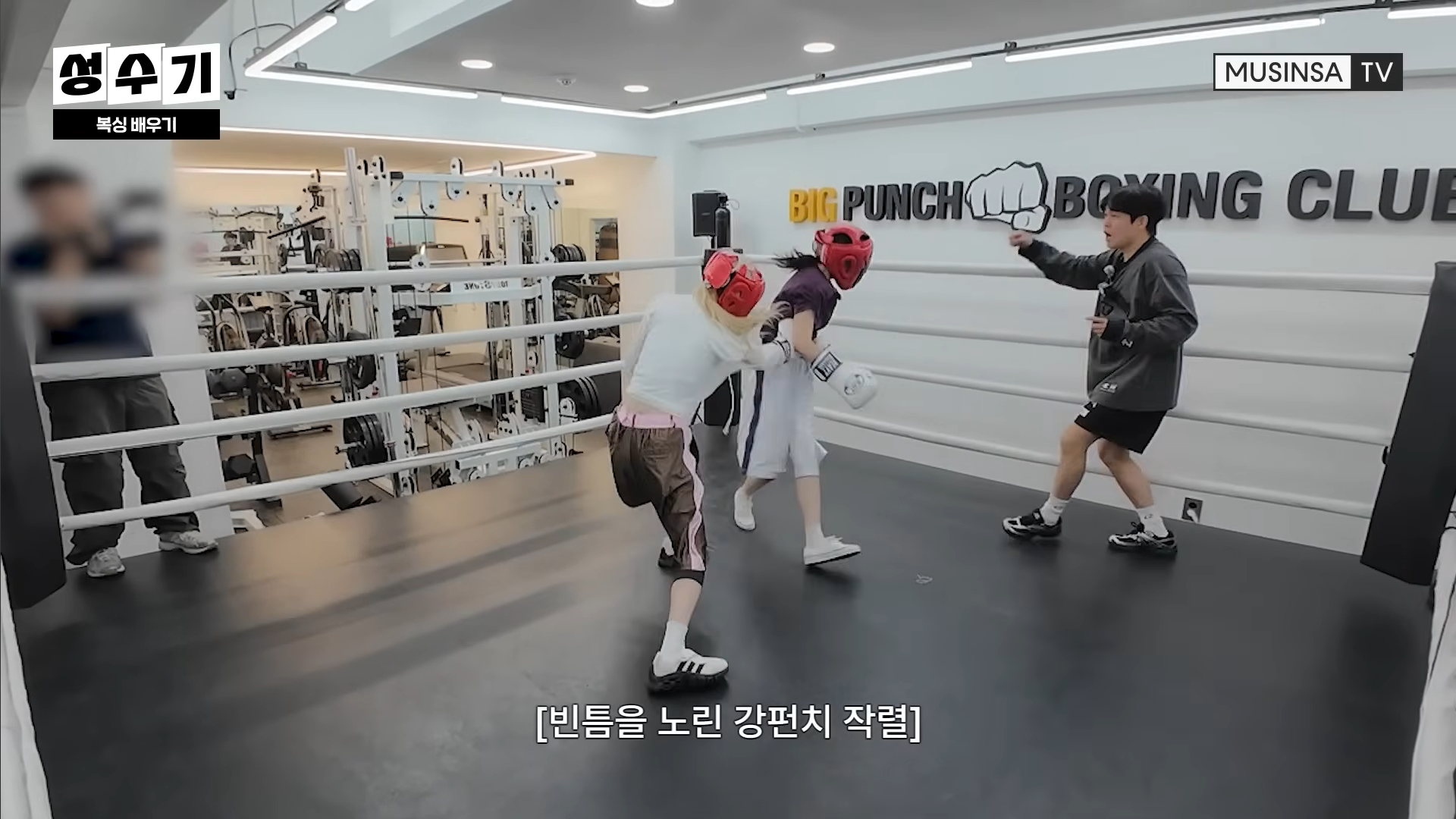 QWER 드디어 성사된 스파링 ㄷㄷㄷ