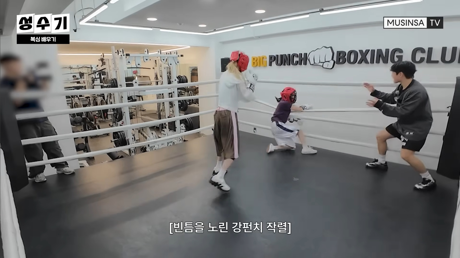 QWER 드디어 성사된 스파링 ㄷㄷㄷ