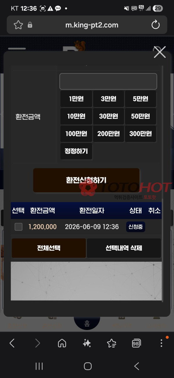 피넛 먹튀 관련 화면 2