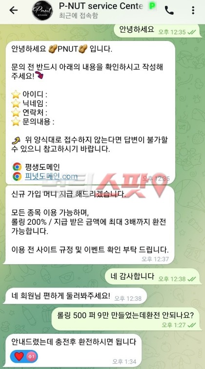 피넛(Pnut) 먹튀 관련 화면 2