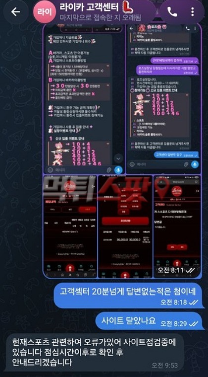 라이카카지노 먹튀 관련 화면 3