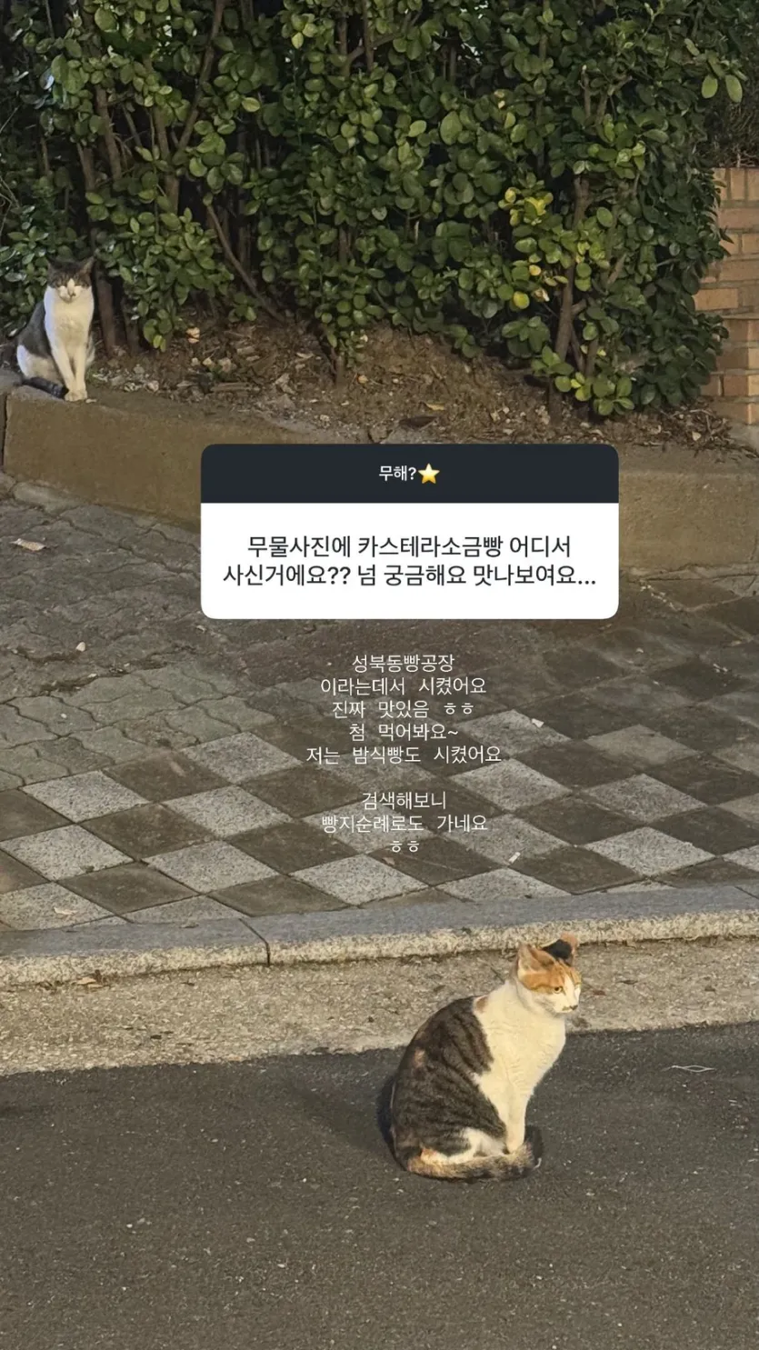 경리 인별 무물