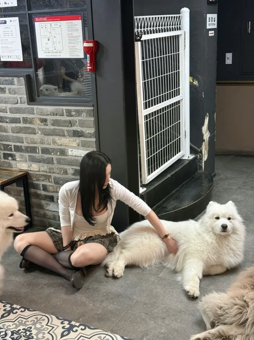 꽃빵