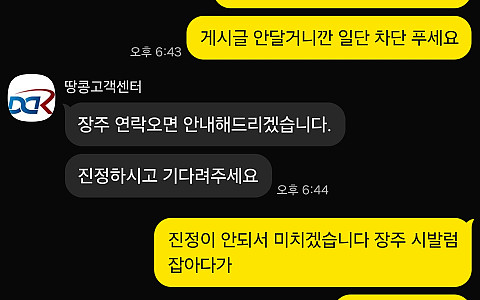 땅콩 땅콩 69만원 환전 핑돈 피해