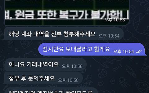 페페 페페 1000만원 계좌 내역 요구 뒤 원금 처리 제보