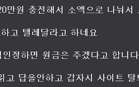 원펀맨 원펀맨 60만원 환전 피해·금칙어로 본문 등록 차단 제보