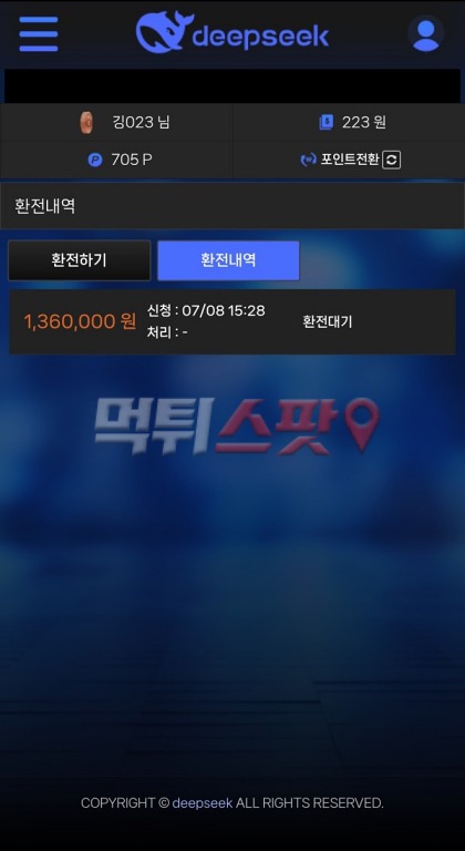 딥시크(Deepseek) 먹튀 관련 화면 1