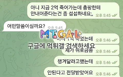리본 리본 2억원 충전 뒤 접속·텔레그램 차단 피해 제보