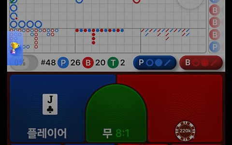 개미벳 개미벳 22만원 바카라 타이 결과 정산 분쟁 제보