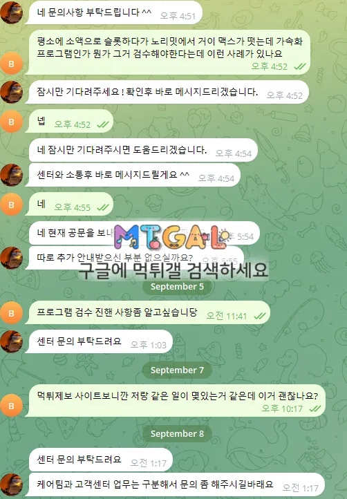 이미지 7
