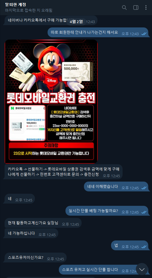이미지 5