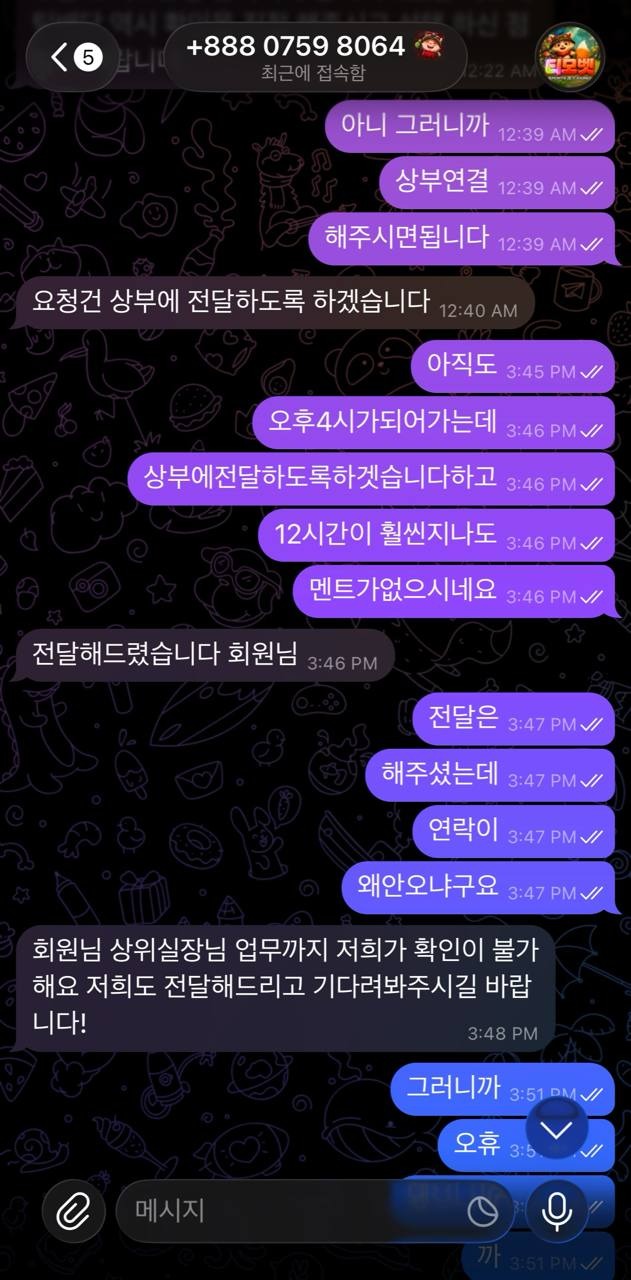 이미지 5