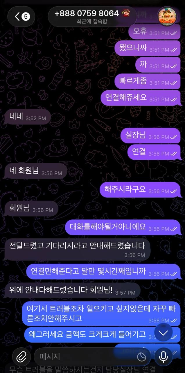 이미지 8
