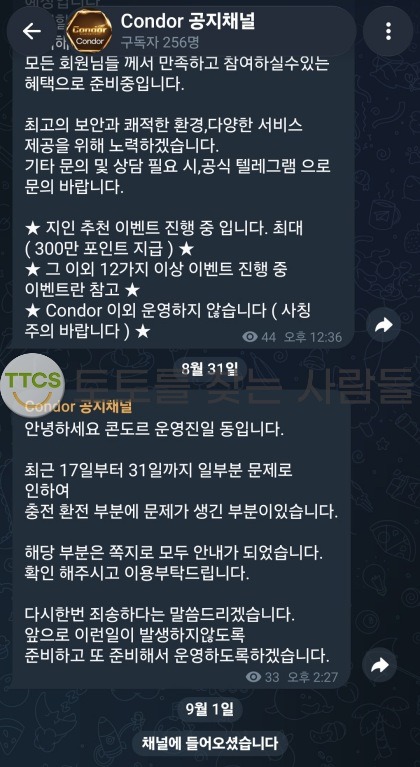 이미지 2
