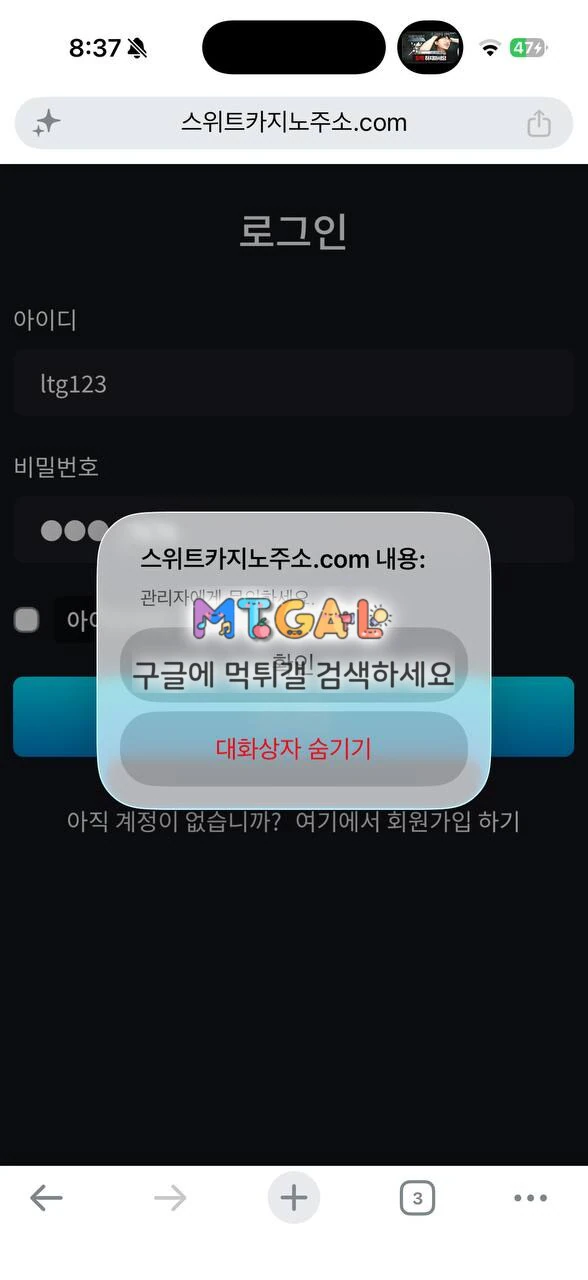 이미지 3