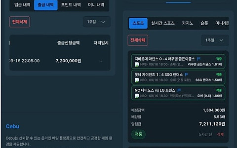 세부 세부 720만원 야구 3폴더 첫 환전 뒤 원금까지 미지급 제보