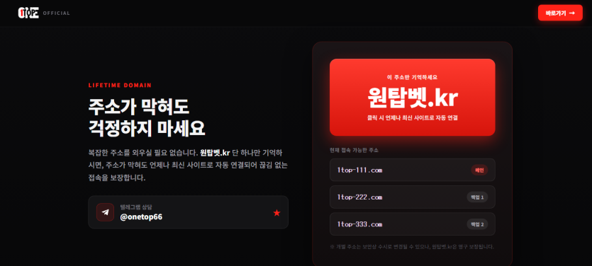 이미지 4