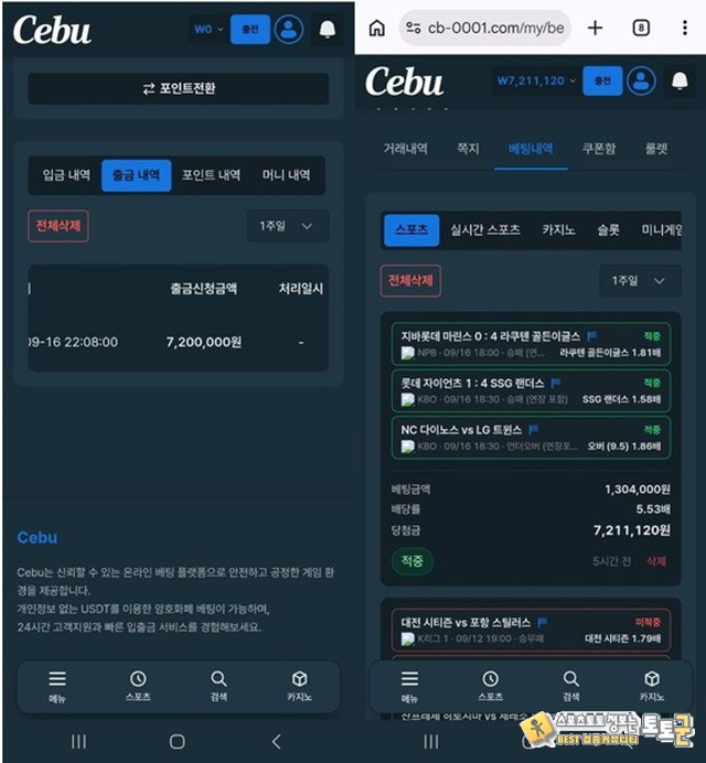 이미지 1