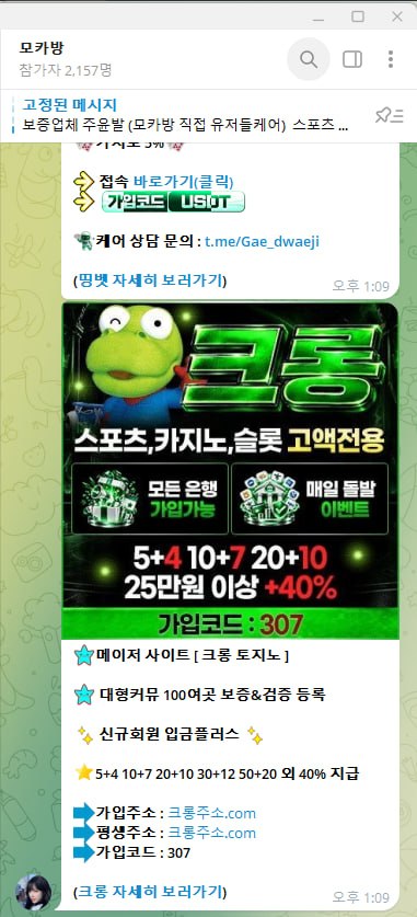 이미지 4