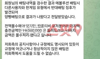 이미지 4