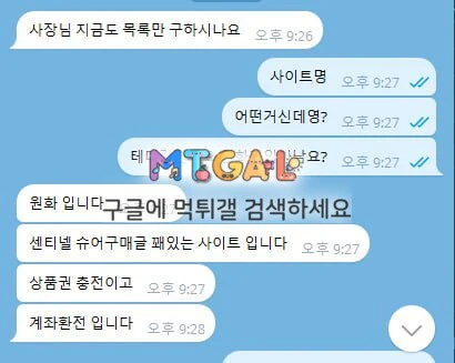 이미지 8