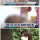 프리미엄 육아 도우미
