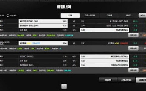 페더 페더 203만원 환전에서 양방 핑계가 나왔습니다